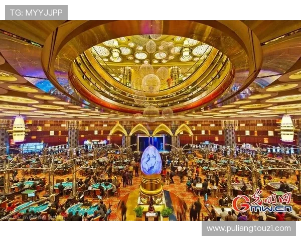 新葡京娱乐：不断创新的娱乐内容，带来新鲜刺激的游戏体验，享受极致娱乐享受