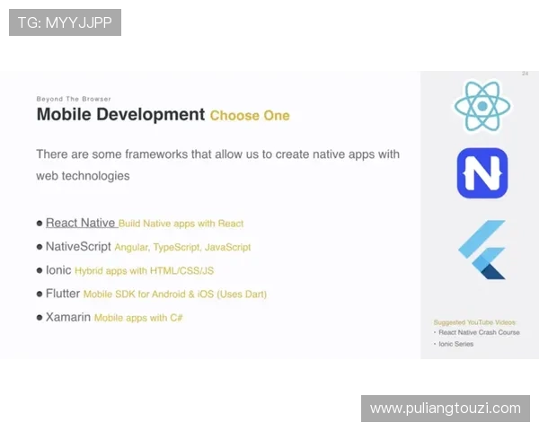 PA8网站安全可靠的登录入口指南保障玩家账号信息安全与隐私保护