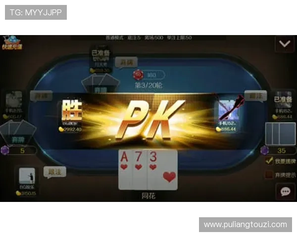 如何应对BG大游真人登录线路不一样的问题，确保游戏体验流畅稳定