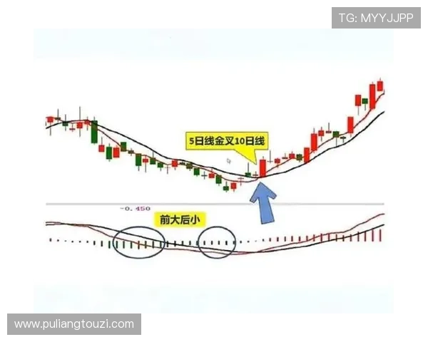 提升K8视讯倍投成功率的实用技巧与风险规避策略