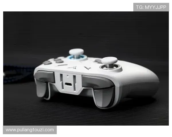 深入了解K8视讯公司在网络游戏行业中的创新优势与市场布局