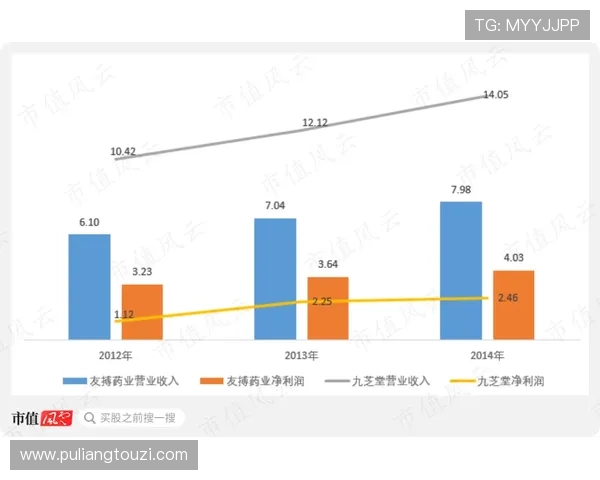 百家乐路子图在实战中的应用指南，助你科学分析牌局赢得更多胜利